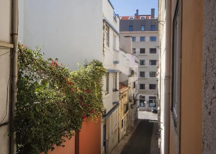 4 Διαμέρισμα *